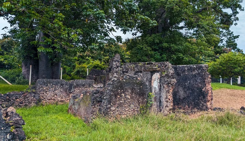 Tongoni Ruins photo 4