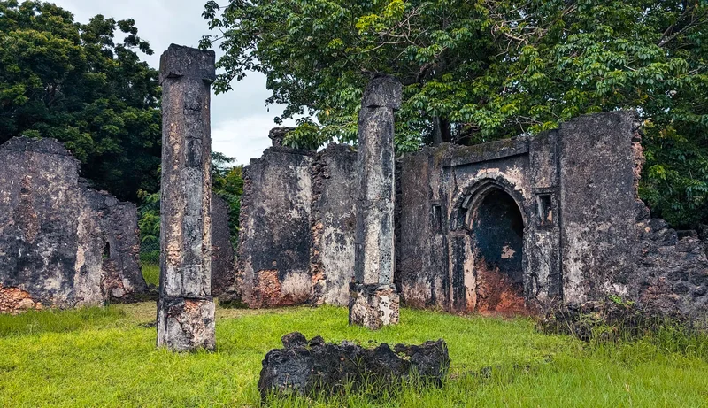 Tongoni Ruins photo 12