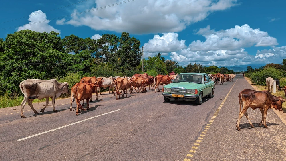 Across Tanzania