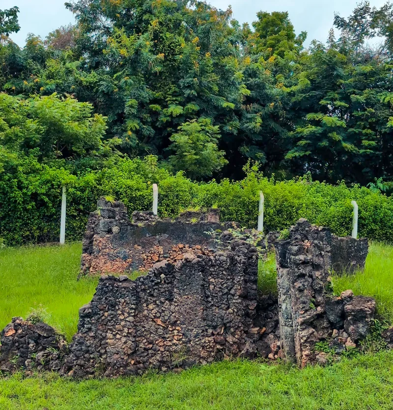 Tongoni Ruins photo 9