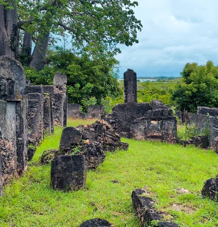 Tongoni Ruins