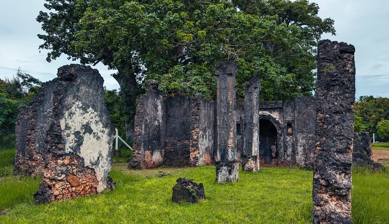 Tongoni Ruins photo 7
