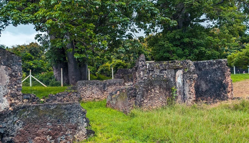 Tongoni Ruins photo 13