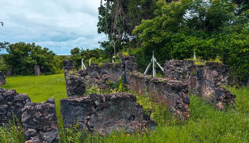 Tongoni Ruins photo 14