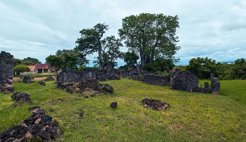Tongoni Ruins photo 8
