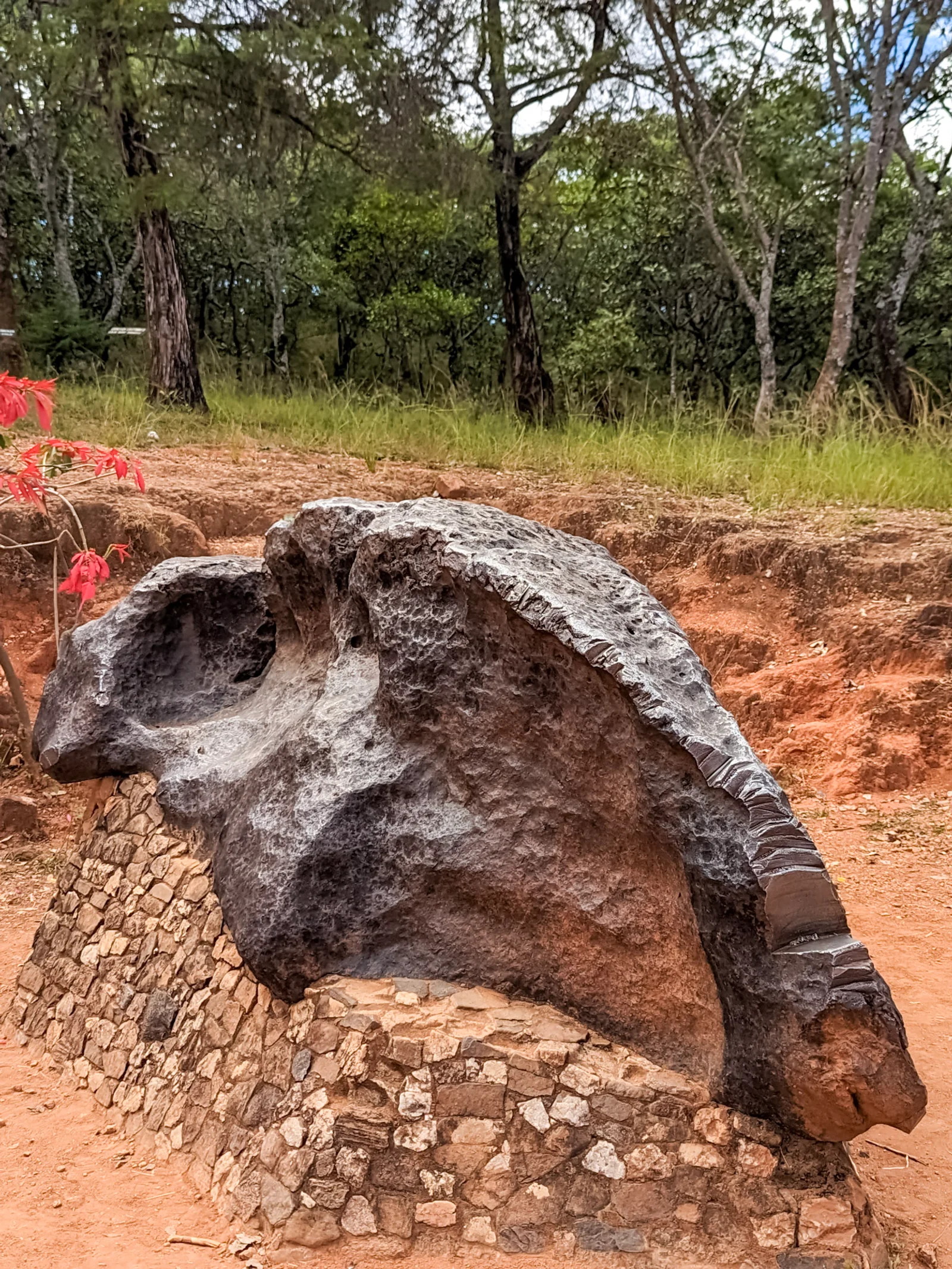 Mbozi Meteorite